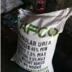 164742kalerkantho_pic