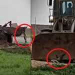 72b6736eb71debd70e126a671af4ee09-5e536c819e725