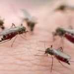 image-99656-1576625904