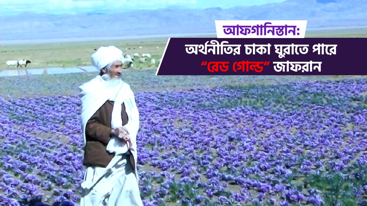 Erning xotindan jinsiy ajralishi