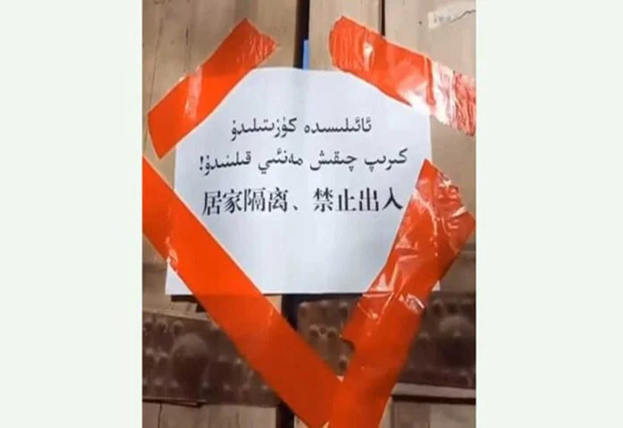 uighur