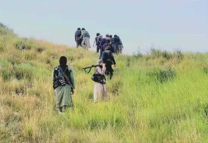 TTP-mujahidin