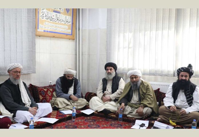senior-umaras-of-IEA