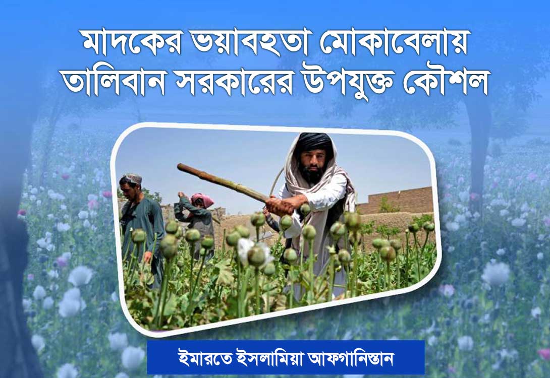 Nelly Yeletsda sikni soradi.