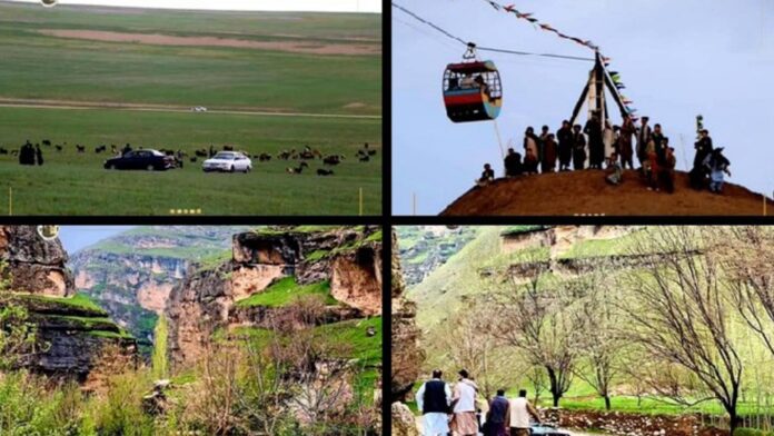 afganistaner-dorshonio-kichu-sthan