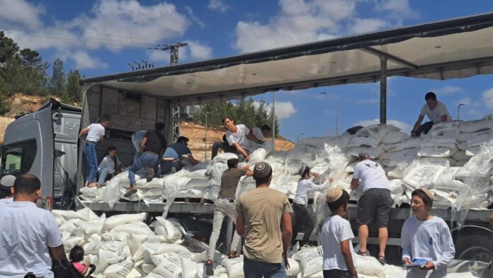 israelies are looting aid sent for palestinians in gaza