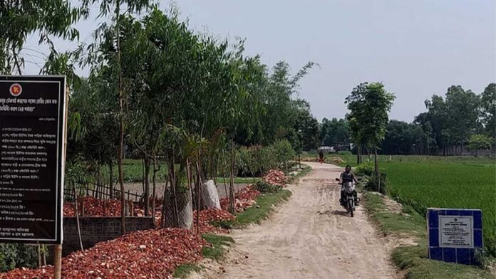 rasta-nirmane-durniti