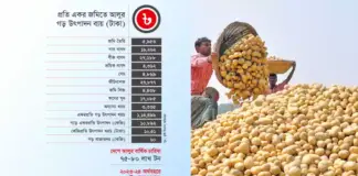 উৎপাদনে খরচ ১০ টাকা, তবু আলুর দাম ৬০-৭০ টাকা