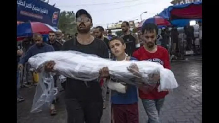 gajay-nihter-sngkhza-40-hajar-charal-gaza-66c0cf10955e3