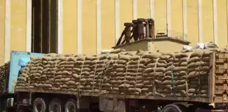 জরুরি সংকট মোকাবেলায় গম সংরক্ষণে রাখছে ইমারতে ইসলামিয়া প্রশাসন