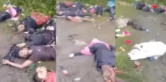 বৌদ্ধ মিলিশিয়া দ্বারা রাখাইনে গণহত্যা অব্যাহত নিহত দুই শতাধিক রোহিঙ্গা