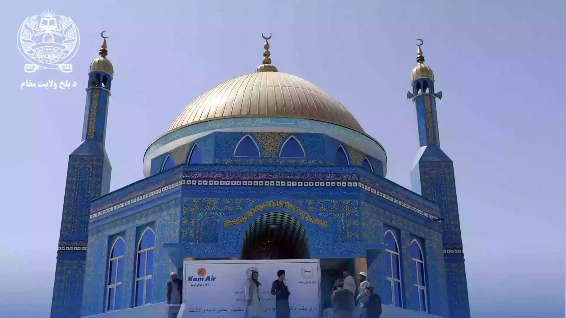 külot ichida yalangoch mushuk