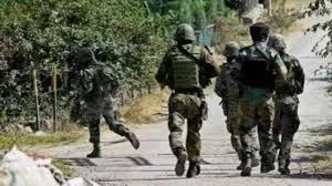 troops-doda