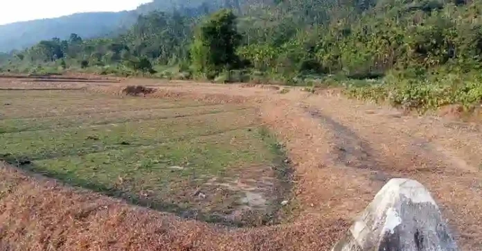 sylhet-20241226182057 copy