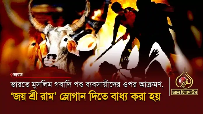 Attacks on Muslims, cattle traders in India copy