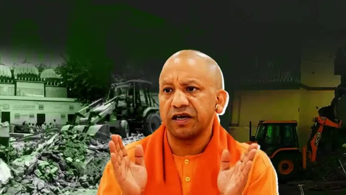 yogi copy