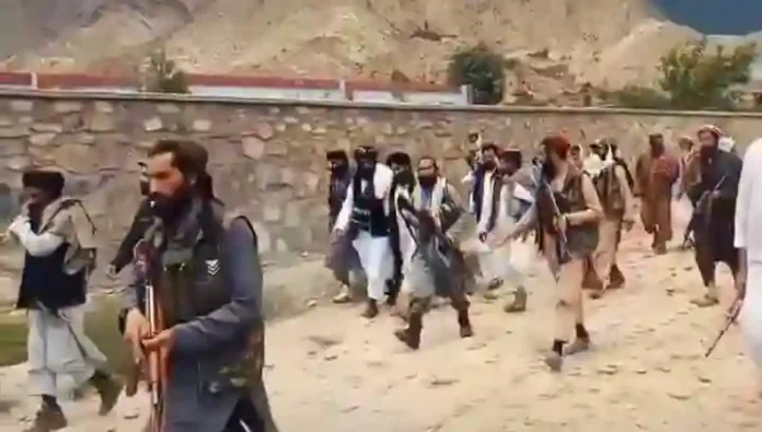 ttp_২০২৫_০৫৩১_২০১৪১৮ copy
