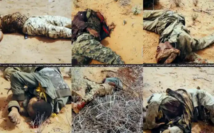 as_২০২৫_০৭১০_১৯৫৭৪৬ copy