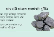 অন্তঃসারশূন্য প্রতিবেদনের আড়ালে তথ্যচুরি ভারতীয় প্রতিষ্ঠানের, গচ্ছা গেছে ৫০০ কোটি টাকা