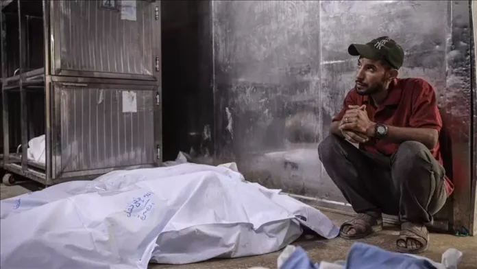 গাজায় অব্যাহত ইসরায়েলি বর্বরতায় নিহত আরও ৬১ ফিলিস্তিনি-1