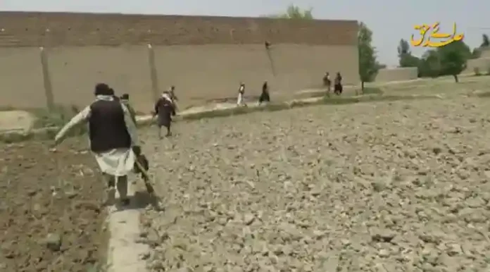 imp_২০২৫_০৯২৪_২৩৩০৩৫ copy