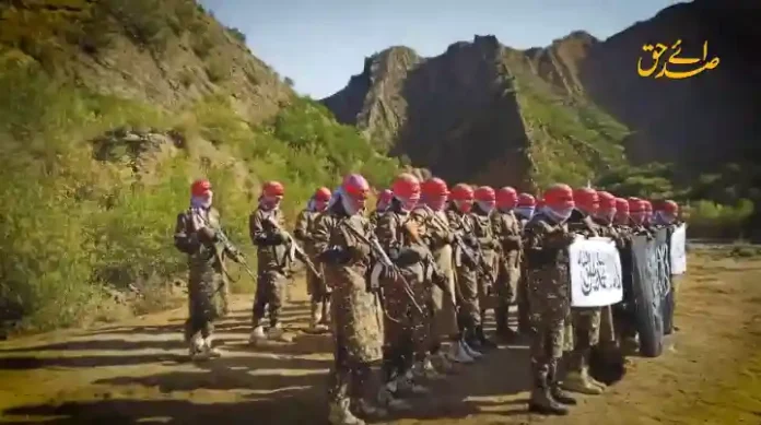 imp_২০২৫_১০১১_১৮৩২২২ copy