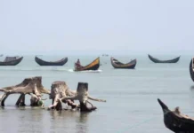 নাফ নদীতে আরাকান আর্মির হাতে আটক ৬ জেলে