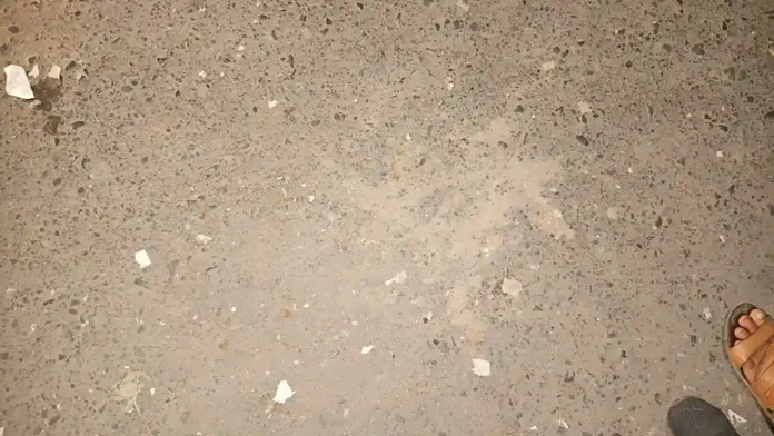 IMG-20251116-WA0050-691a41a95596a copy