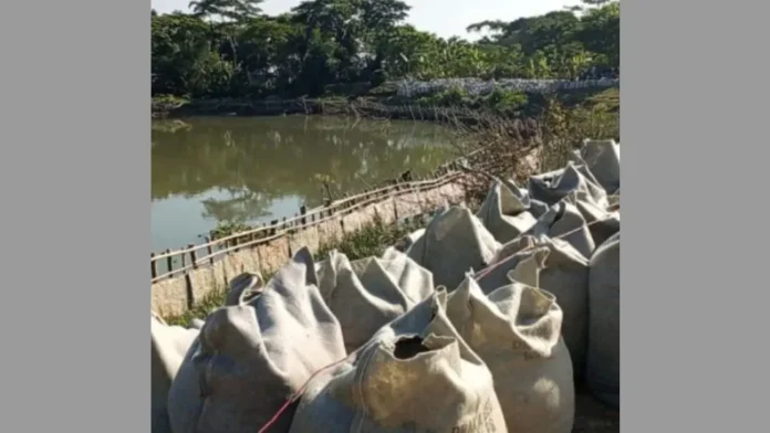 badh-oniom-691d481893526 copy