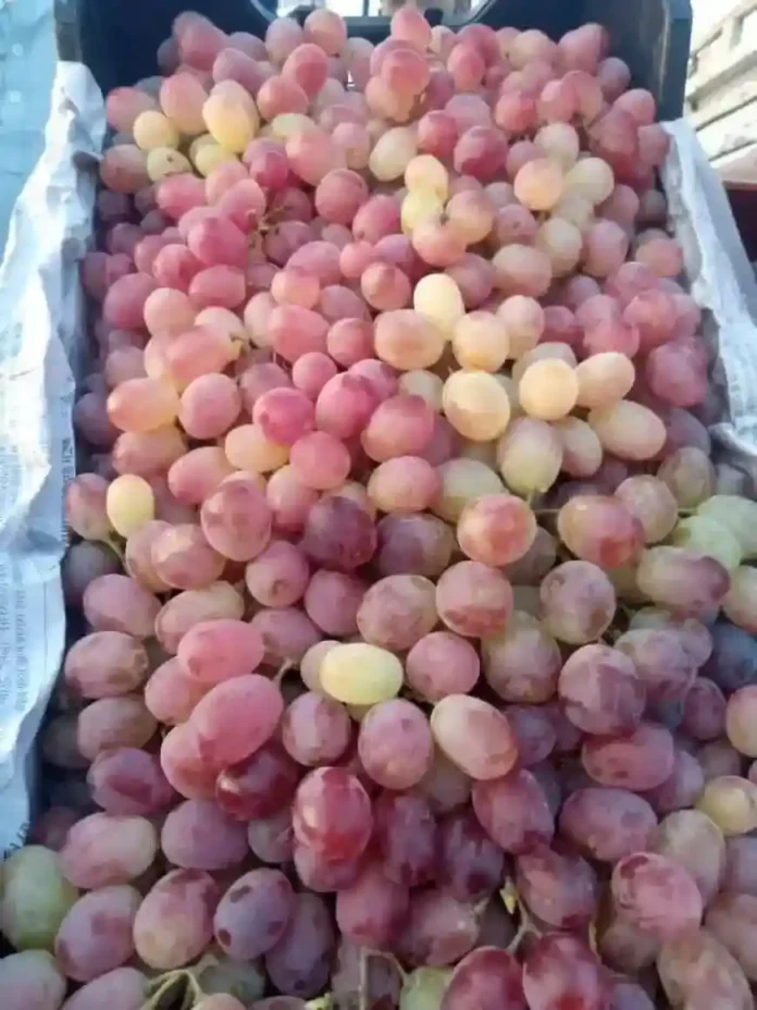 image-870x-69157b9427e11-min copy