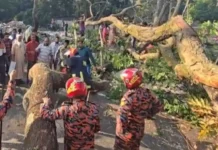 ঢাকা-বরিশাল মহাসড়কে গাছ ফেলে রাস্তা অবরোধ করার চেষ্টা নিষিদ্ধ আওয়ামীলীগের