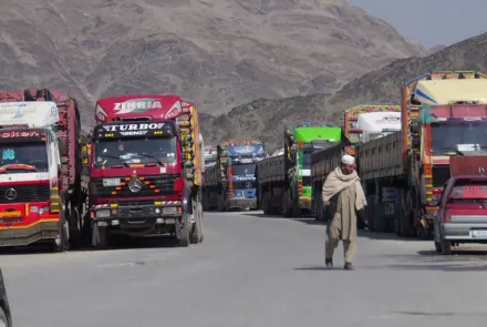 অক্টোবরে আফগানিস্তানের খাদ্য রপ্তানি ১৩_ বৃদ্ধি copy