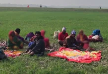 ১৪ ভারতীয় নাগরিককে পুশইনে বিজিবির বাধা, পতাকা বৈঠকে ফেরত