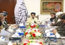 ইমারাতে ইসলামিয়ার জাতীয় ক্রয় কমিশনে ৩ বছরে ৫৬২টি উন্নয়ন প্রকল্প অনুমোদন