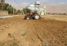 আফগানিস্তানের আল-বিরুনি বিশ্ববিদ্যালয়ে প্রাকৃতিক সৌন্দর্য্যমন্ডিত সবুজ অঞ্চল গড়ে তোলার উদ্যোগ