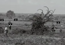 সোমালিয়া || শাবাবের পৃথক অভিযানে ৩ ক্রুসেডার সহ ১৫ শত্রু সৈন্য হতাহত