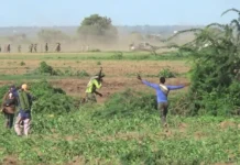 সোমালিয়ায় শত্রু অবস্থানগুলো লক্ষ্য করে আশ-শাবাবের ১০টি পৃথক সফল অপারেশন