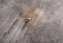 মানিকগঞ্জে দুটি ককটেল বিস্ফোরণ ঘটালো আওয়ামী দুর্বৃত্তরা