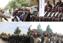 ইমারাতে ইসলামিয়ায় আরও ২৪৭ জন মুজাহিদের বিশেষ সামরিক প্রশিক্ষণ সমাপ্তি