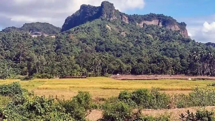 amardesh-cox-11 copy