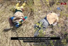 মালিতে জান্তা বাহিনীর বিরুদ্ধে ‘জেএনআইএম’ মুজাহিদদের ১৫টি সফল অভিযান