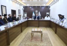 আগামী পাঁচ বছরে সাড়ে ৫ লাখ নাগরিকের কর্মসংস্থানের উদ্যোগ নিয়েছে ইমারাতে ইসলামিয়া