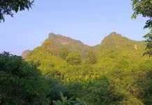 টেকনাফে পাহাড় থেকে ৬ কৃষককে অপহরণ