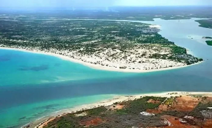 2026-01-22_110410 copy