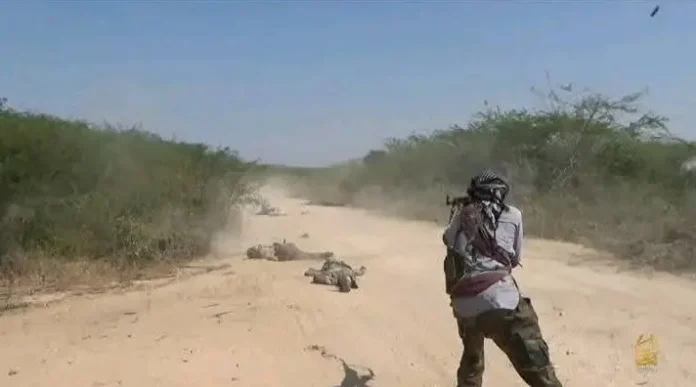 2026-01-31_203841 copy