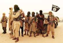 নাইজারে জান্তা বাহিনীর দুটি সামরিক চৌকিতে জেএনআইএম এর হামলা: দুই মুসলিম বন্দীকে মুক্তি