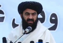 আফগান সমাজে সংস্কৃতি ও শিল্পচর্চা ইসলামের আলোকে হতে হবে: তথ্য ও সংস্কৃতি উপমন্ত্রী