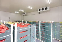 কৃষিপণ্য সংরক্ষণে নতুন দিগন্ত: আফগানিস্তানজুড়ে মানসম্মত হিমাগার নির্মাণের পরিকল্পনা