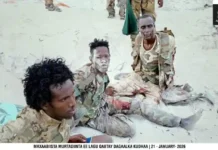 সোমালিয়ার কুধা দ্বীপে শাবাবের অভিযানে নিহত শত্রু সংখ্যা ১৩২ ছাড়িয়েছে, আহত অন্তত ৪৭ সেনা