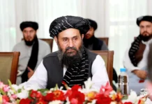 ২.৫ বিলিয়ন আফগানি প্রাক্কলিত ব্যয়ে ২১ উন্নয়ন প্রকল্প অনুমোদন দিয়েছে ইমারাতে ইসলামিয়া